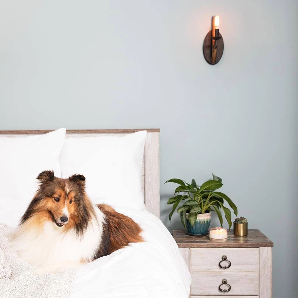 Shire 1-Light Rustic Black Wall Sconce by Quoizel 7 Shire 1-Light Rustic Black Wall Sconce by Quoizel - Image 5