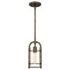 Toscana 1-Light Statuary Bronze Mini Pendant with Clear Glass by Quoizel -Quoizel Sales statuary bronze quoizel pendant lights tos1505su 64 1000