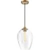 Nostalgia 1-Light Weathered Brass Mini Pendant by Quoizel -Quoizel Sales weathered brass quoizel pendant lights nga1510ws 64 1000