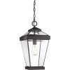 Ravine 1-Light Bronze Outdoor Pendant Light by Quoizel 1 Ravine 1-Light Bronze Outdoor Pendant Light by Quoizel -Quoizel Sales western bronze quoizel outdoor pendant lights rav1910wt 64 1000