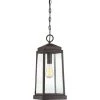 Ravenel 1-Light Bronze Outdoor Pendant Light by Quoizel -Quoizel Sales western bronze quoizel outdoor pendant lights rnl1908wt 64 1000