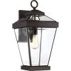Ravine 1-Light Bronze Outdoor Wall Lantern Sconce by Quoizel