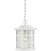 Stonington 1-Light White Outdoor Pendant Light by Quoizel